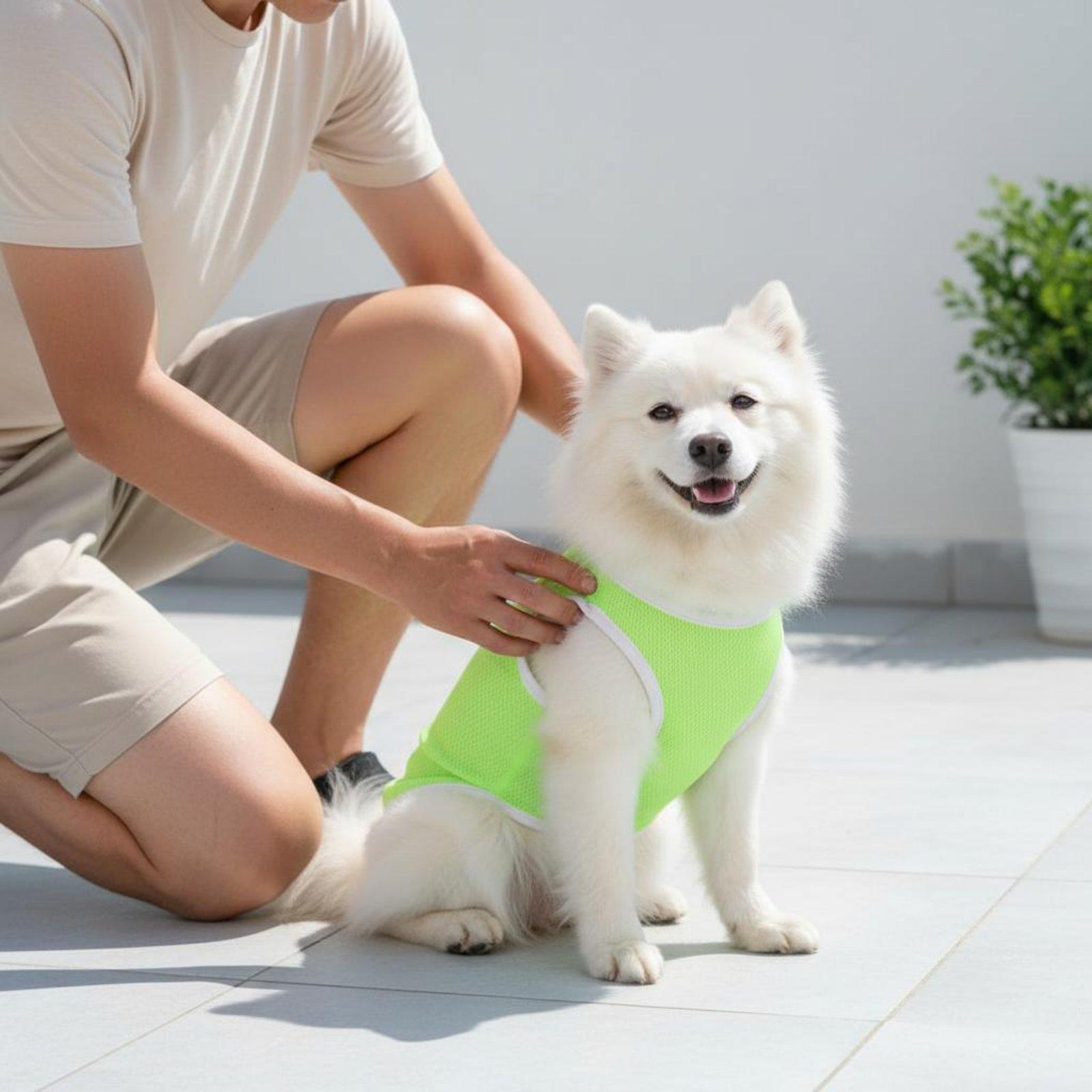 Colete de Malha para Cães, Cam - Outdoor Adventure Boys avaliação e preço