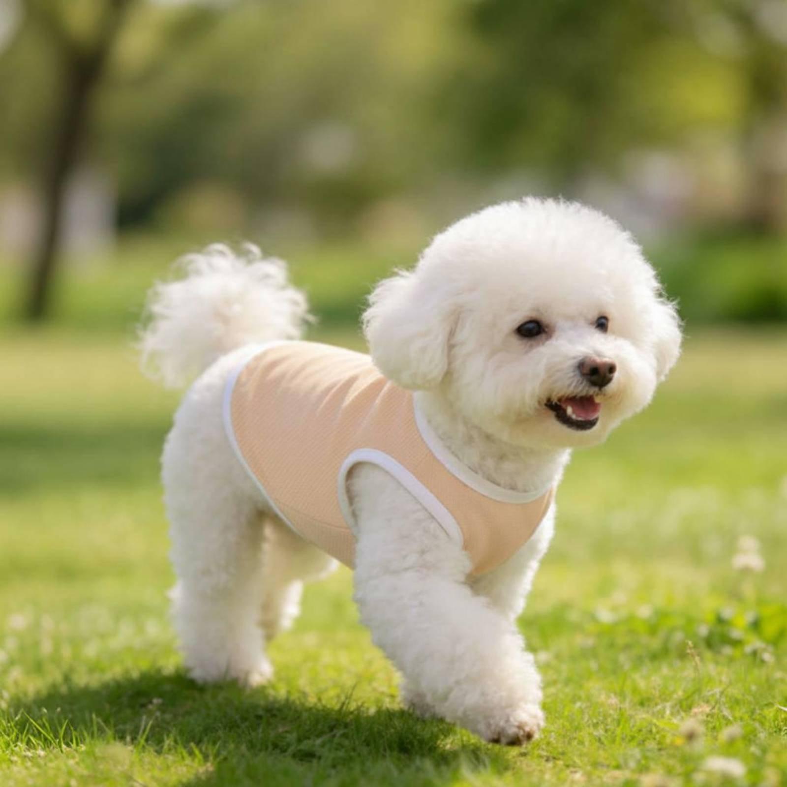 Colete de Malha para Cães, Cam - Outdoor Adventure Boys avaliação e preço